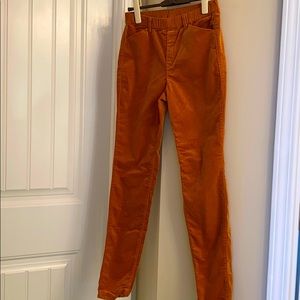 Heat tech velour pants purchased in Japan (NWOT)